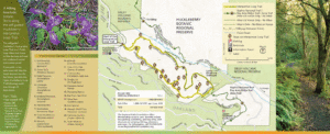 Huckleberry Trail Guide near oakland Alexan webster